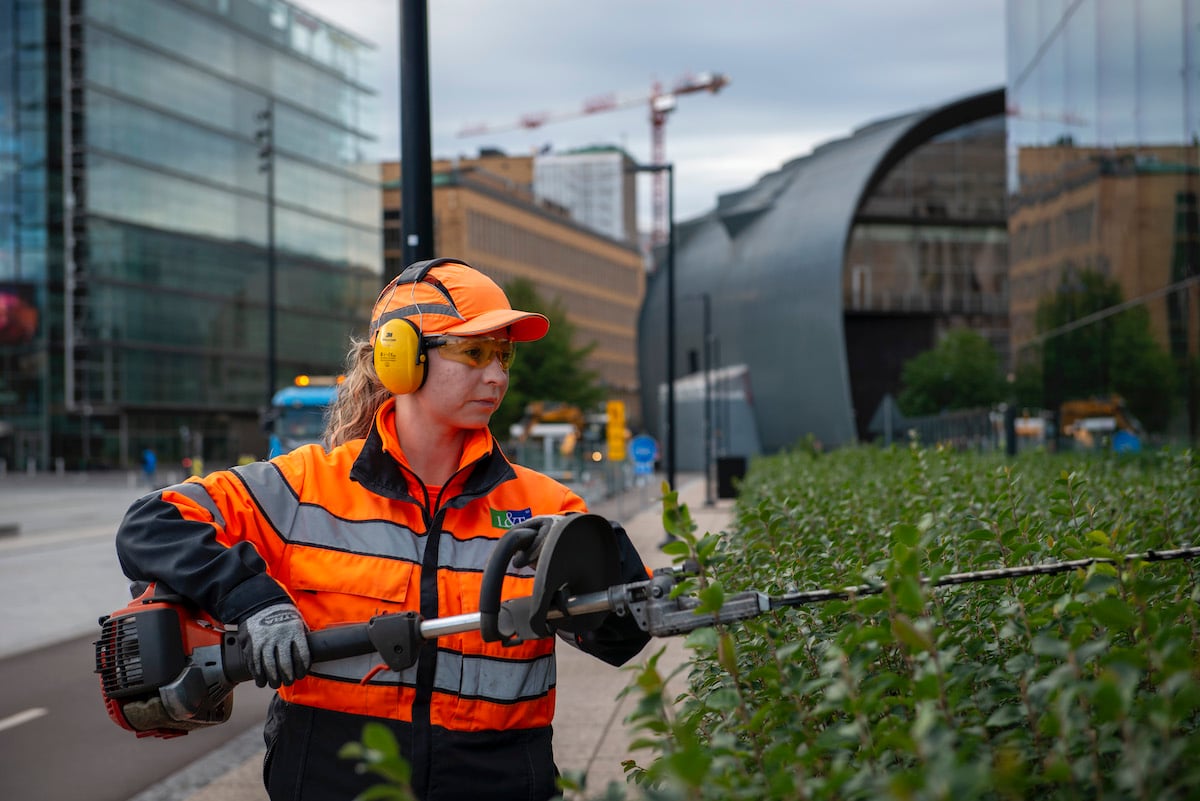 <span id="hs_cos_wrapper_name" class="hs_cos_wrapper hs_cos_wrapper_meta_field hs_cos_wrapper_type_text" style="" data-hs-cos-general-type="meta_field" data-hs-cos-type="text" >Maija hyppäsi aulapalveluista viherpalveluihin</span>