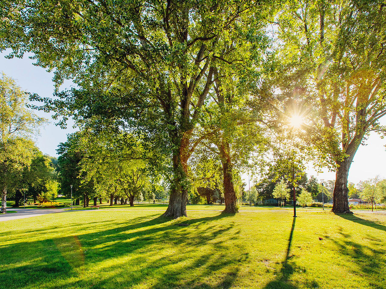 KIPA-viherrakentaminen-puisto-1280x960-3x4