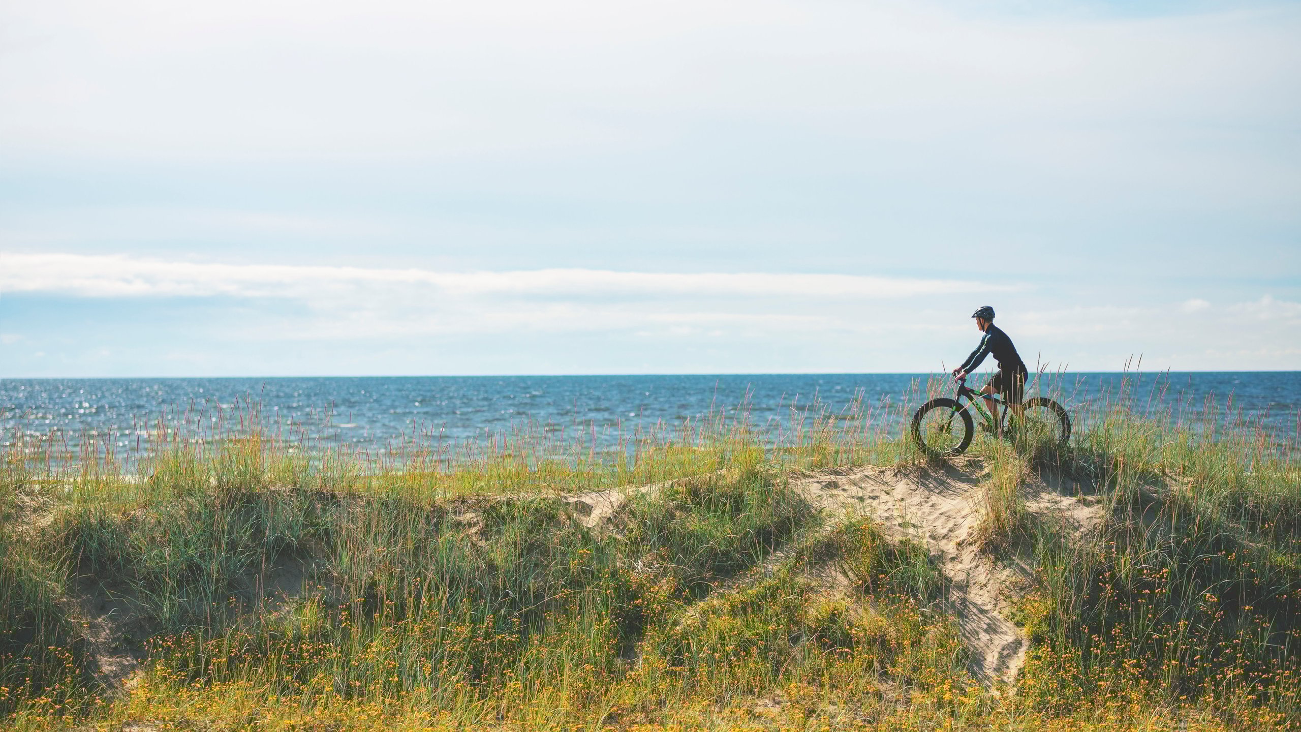 Biodiversiteetti- ja ilmastopalvelut