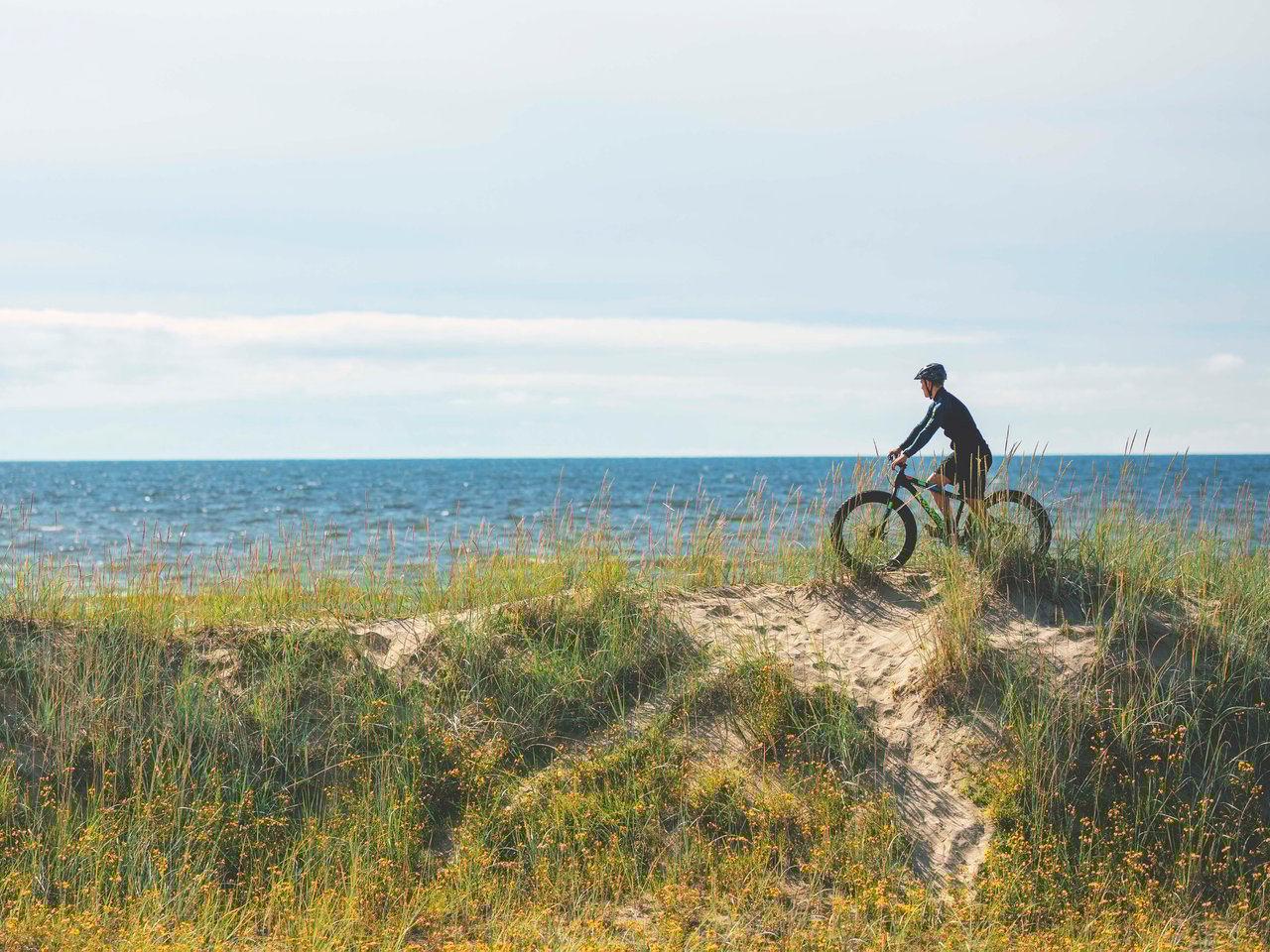 Biodiversiteetti- ja ilmastopalvelut