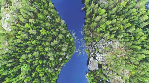 Metsämaisema ylhäältä