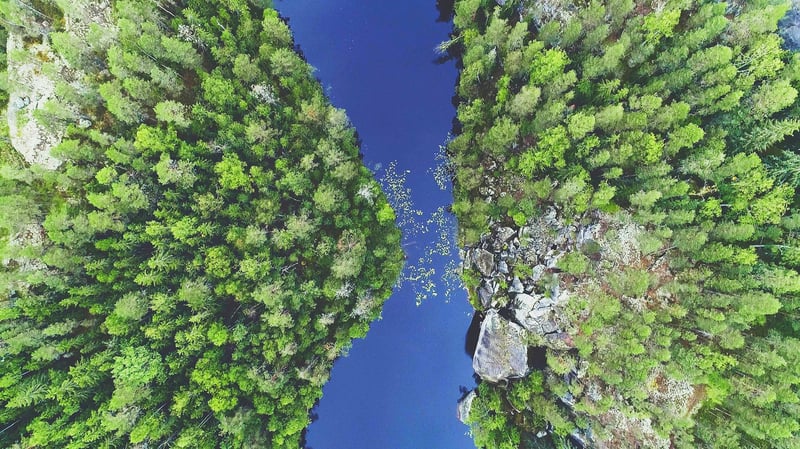 Metsämaisema ylhäältä