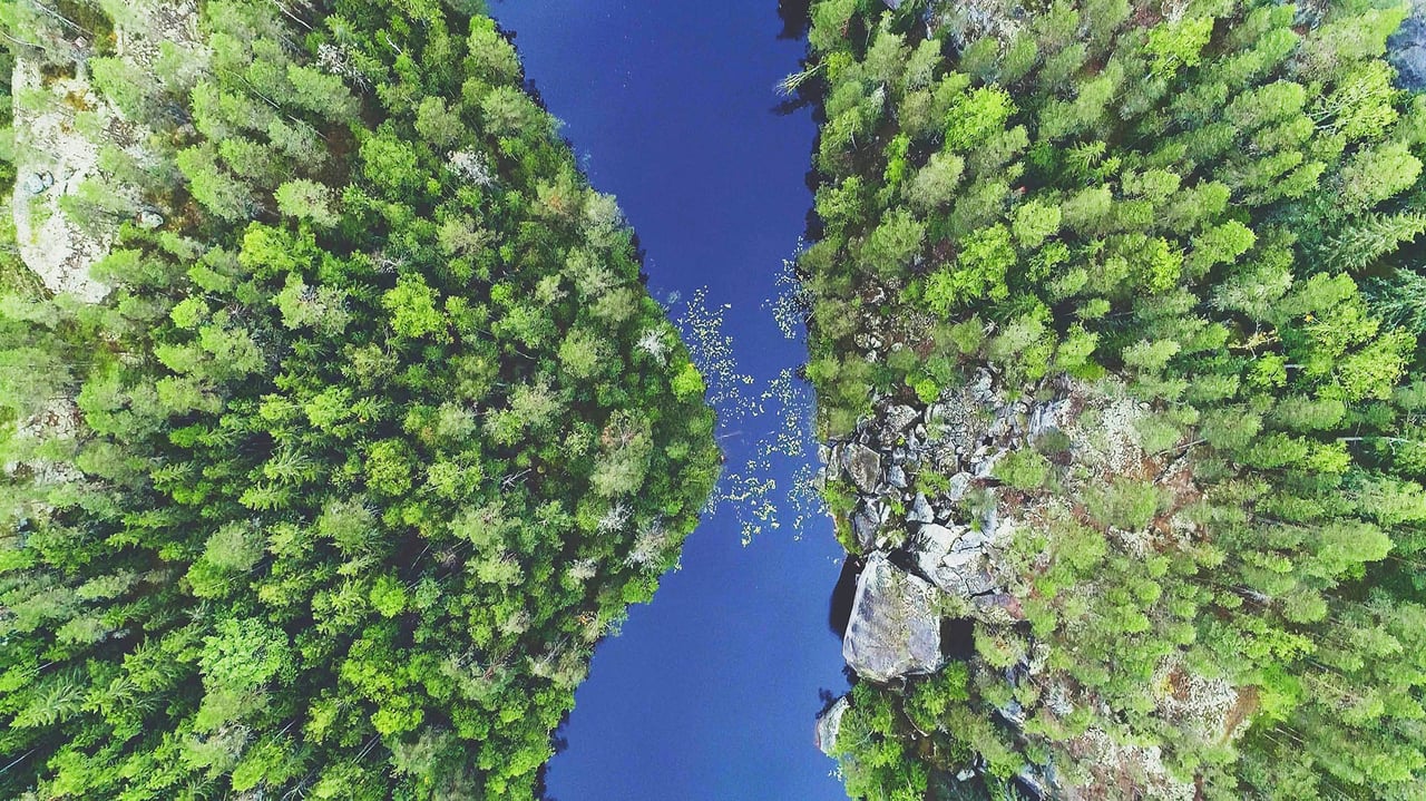 Metsämaisema ylhäältä 