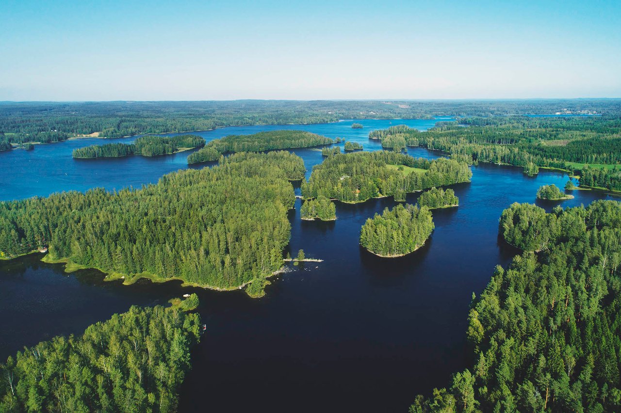 Vihreä metsä - 2352x1568 - Vastuullisuus