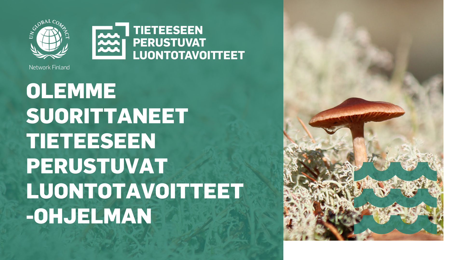 LT on suorittanut UN Global Compact Tieteeseen perustuvat luontotavoitteet -ohjelman