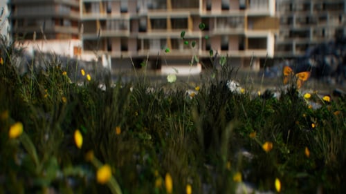 L&T_joutomaa_still_04_16x9_4k