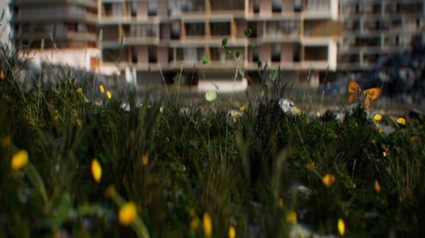 Tepa Webinaari: Ympäristörakentaminen ja luonnon monimuotoisuus - FI