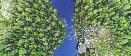 Metsä ylhäältä - 21x9 - Hiilineutraali jätehuolto