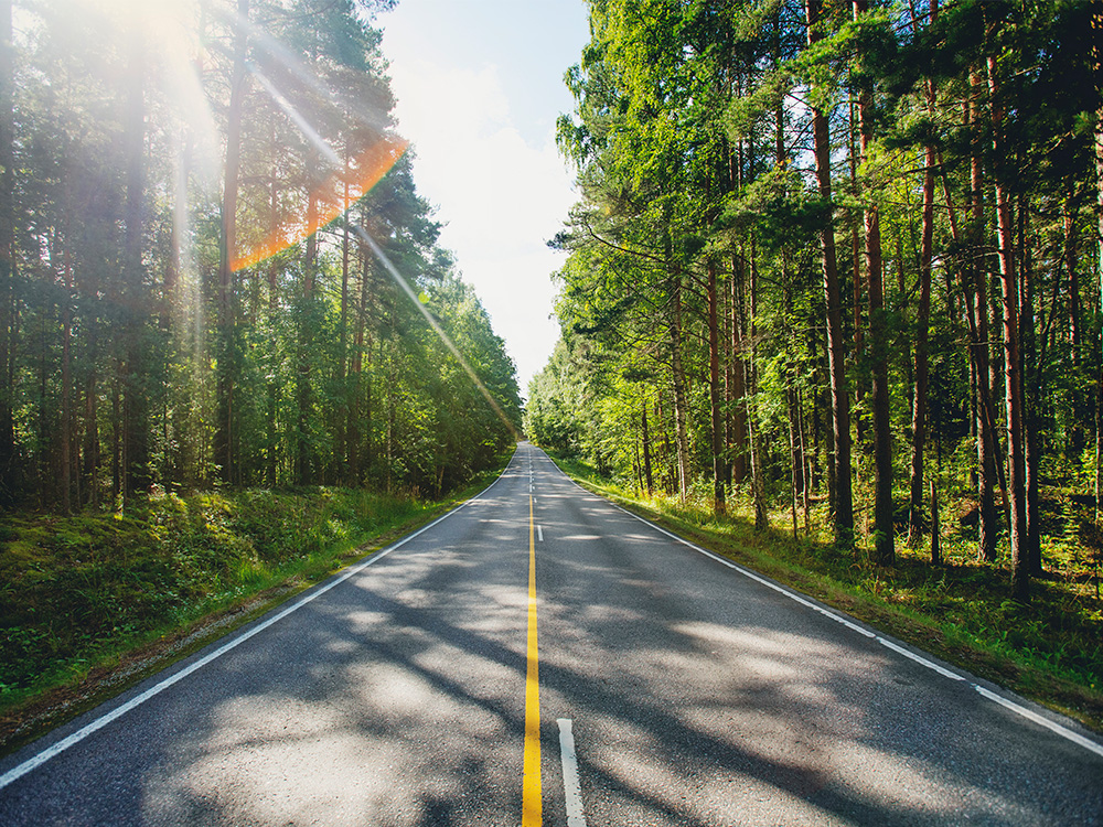 Tie metsässä - 4x3 - Hiilineutraali jätehuolto