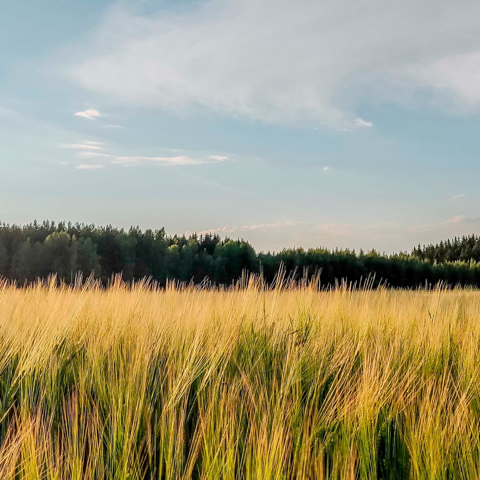 LT_pohjanmaa_header_4000x2250px