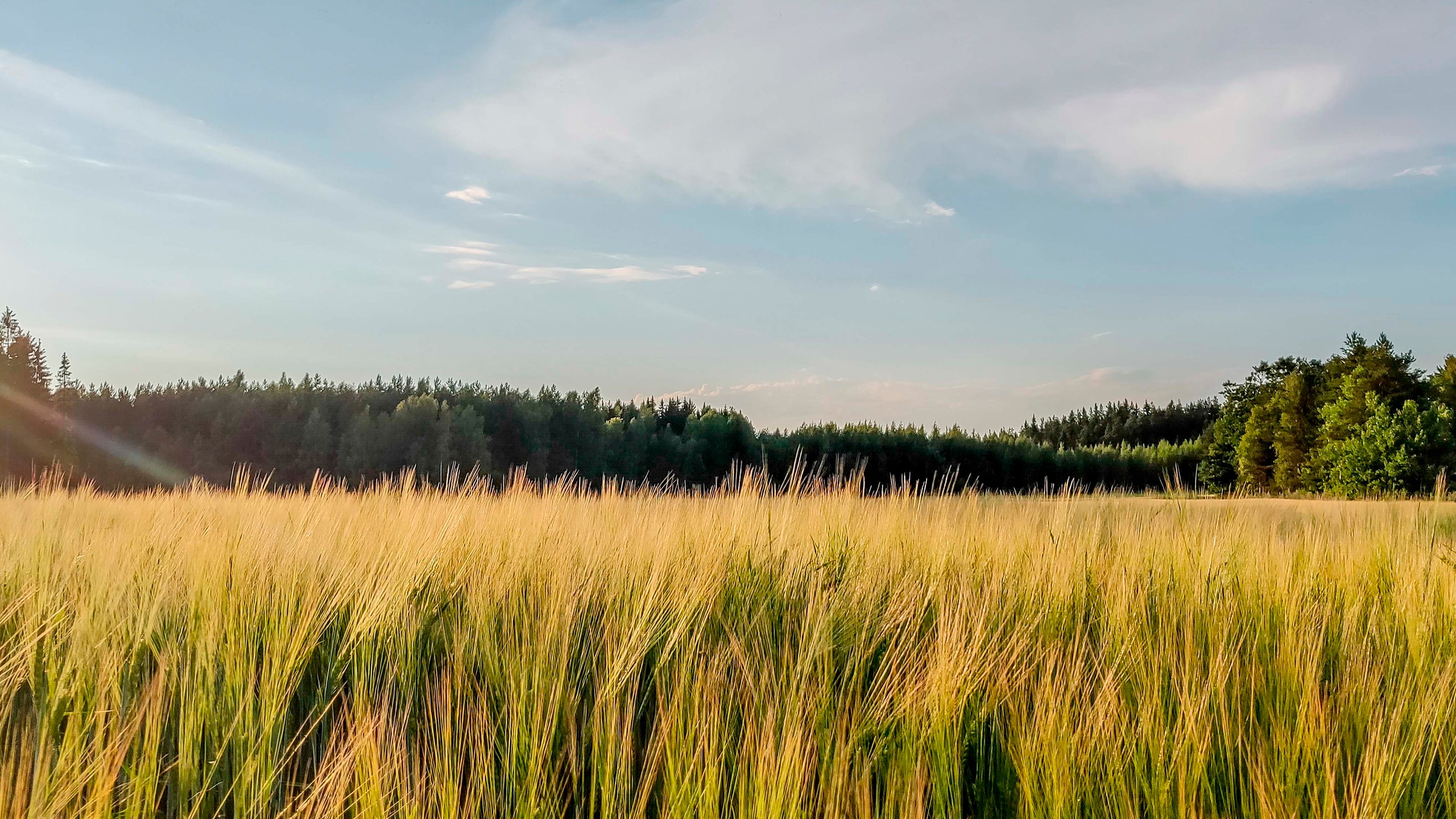 LT_pohjanmaa_header_4000x2250px