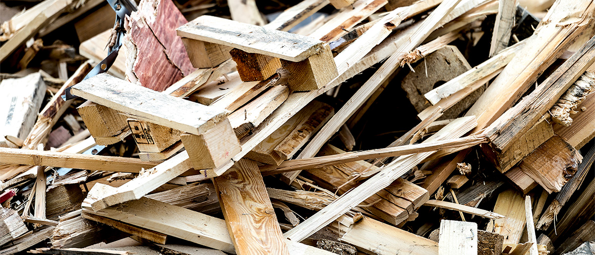 Kierrätyspuu hero - 21x9 - Lajittelu