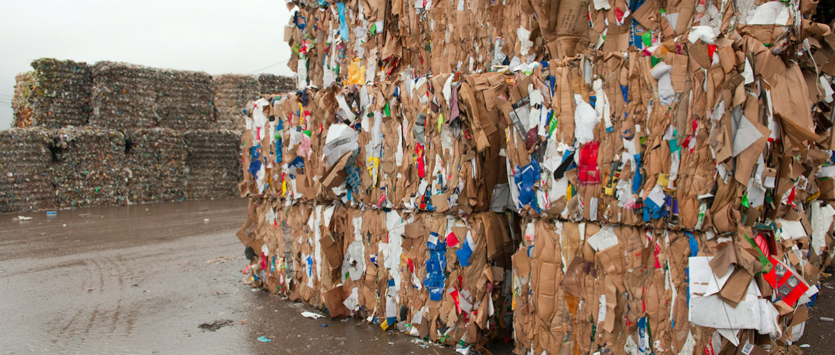 <span id="hs_cos_wrapper_name" class="hs_cos_wrapper hs_cos_wrapper_meta_field hs_cos_wrapper_type_text" style="" data-hs-cos-general-type="meta_field" data-hs-cos-type="text" >Milloin kannattaa hankkia jätepaalain?</span>