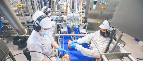 Kolme kaveria linjasto - 21x9 - Refet