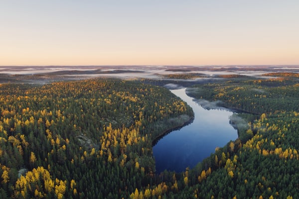 Ilmainen jäteraportti auttaa kehittämään yrityksesi jätehuoltoa