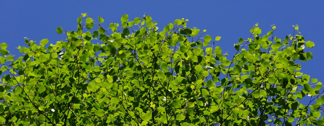 <span id="hs_cos_wrapper_name" class="hs_cos_wrapper hs_cos_wrapper_meta_field hs_cos_wrapper_type_text" style="" data-hs-cos-general-type="meta_field" data-hs-cos-type="text" >Green Deal kannustaa tehokkaampaan jäteöljyn kierrätykseen</span>