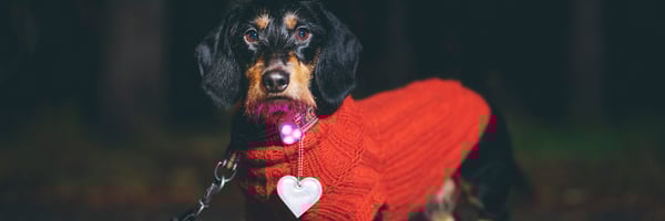 Varokaa jouluähkyä