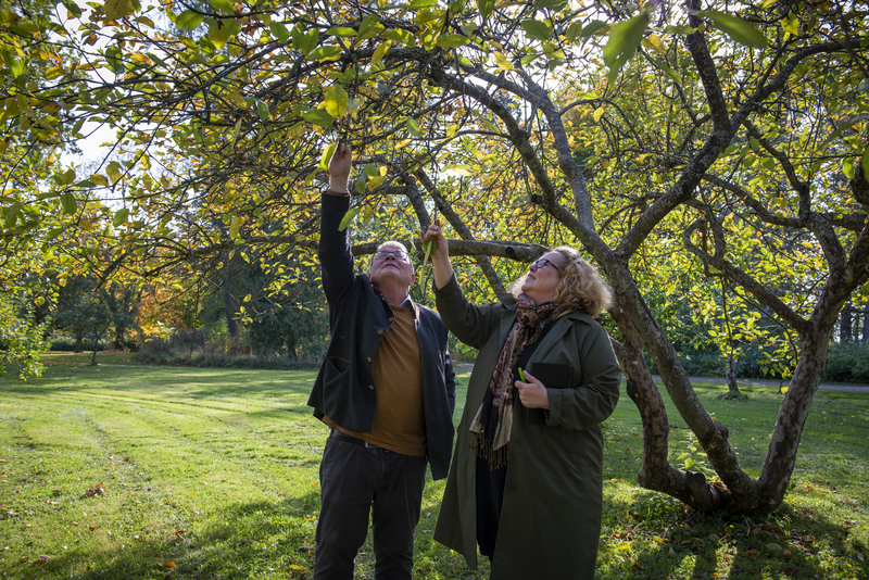 <span id="hs_cos_wrapper_name" class="hs_cos_wrapper hs_cos_wrapper_meta_field hs_cos_wrapper_type_text" style="" data-hs-cos-general-type="meta_field" data-hs-cos-type="text" >L&T pitää Järvenpään seurakuntaopiston arvokkaat viheralueet kunnossa</span>