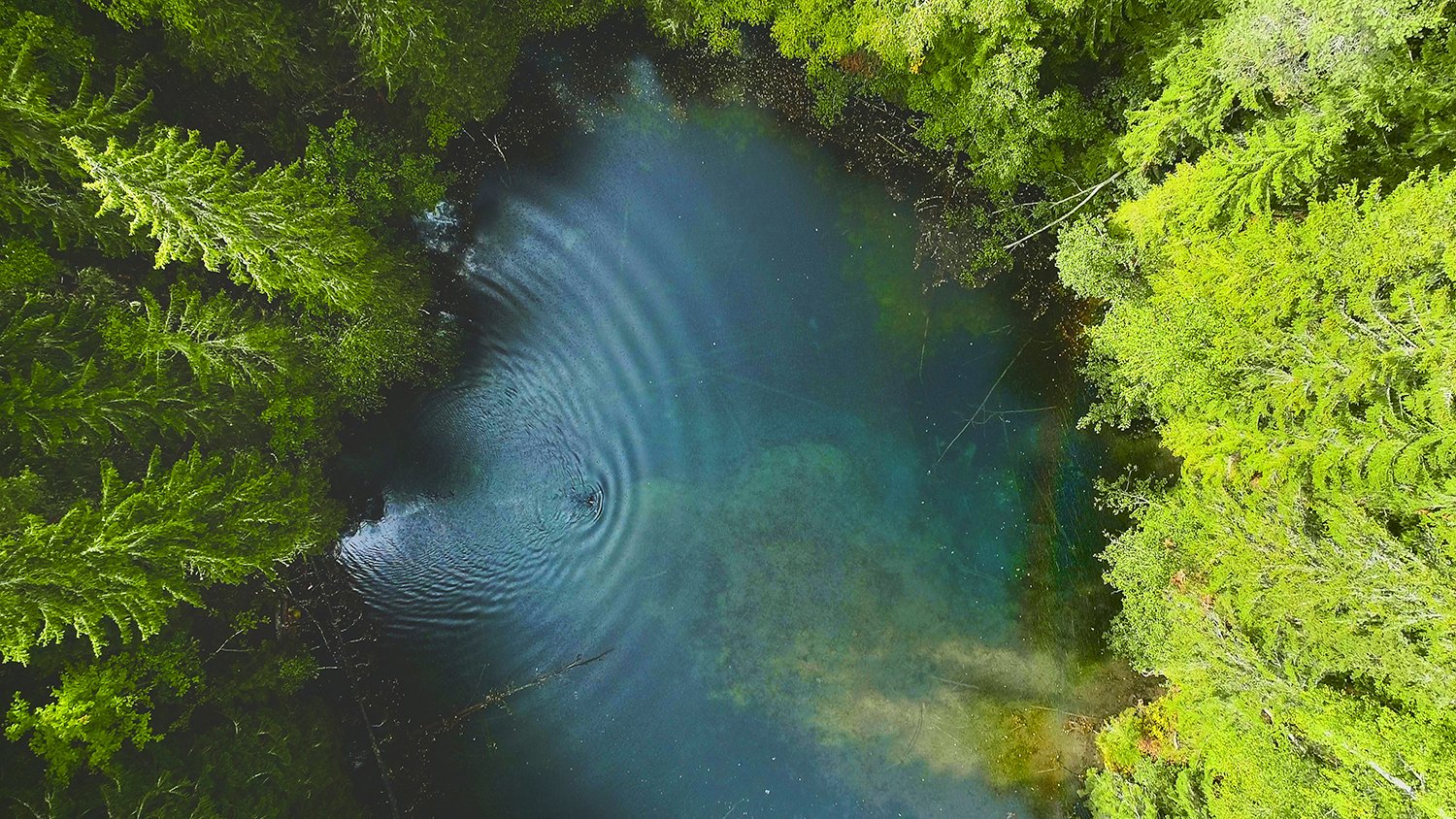 <span id="hs_cos_wrapper_name" class="hs_cos_wrapper hs_cos_wrapper_meta_field hs_cos_wrapper_type_text" style="" data-hs-cos-general-type="meta_field" data-hs-cos-type="text" >Kysymyksiä ja vastauksia Työkalut vaikuttavan luontotyön aloittamiseen -webinaarista</span>